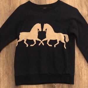 JCrew Crewneck Sweater